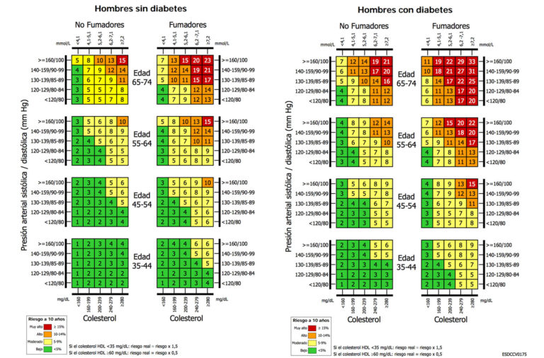 Calculadora De Riesgo Cardiovascular ♥ ¿qué Probabilidad Tienes?